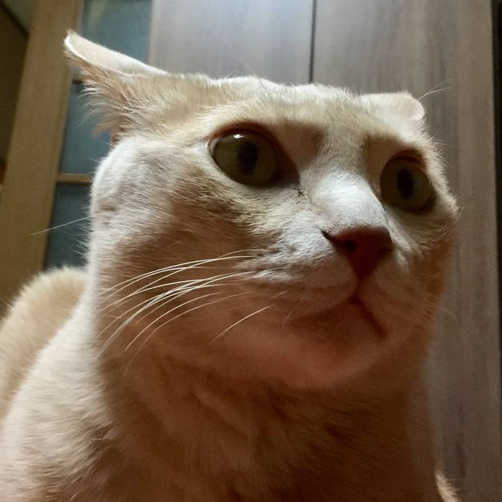 E3f1e1b8 4dce 461c b5c5 65df463144c4 1521286500964