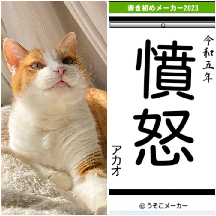 E3f2113a 7c82 4c7e ad23 7741eaa46fb7 1672642377171