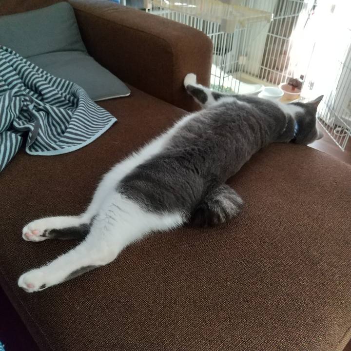 E3f2393f fd71 4ab8 882b a0129e085bf6 1605329290075