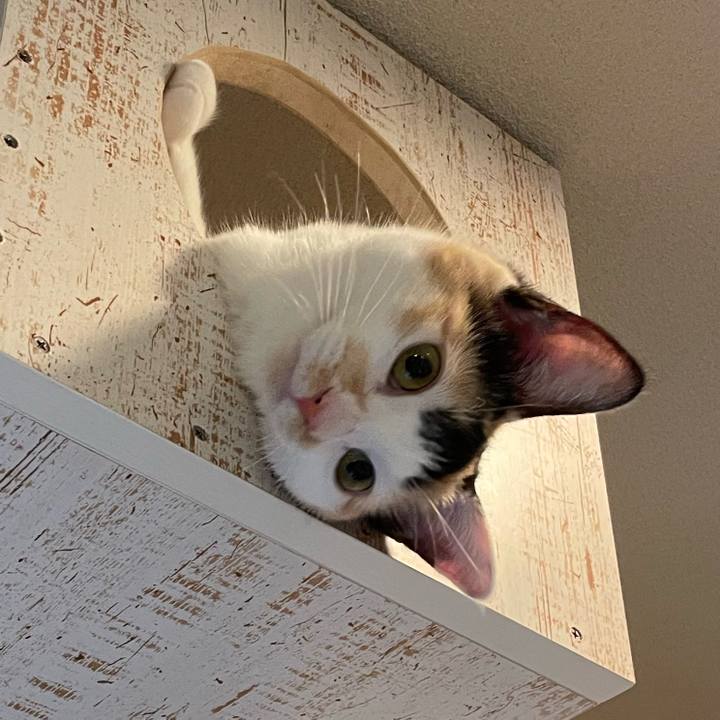 E3f26fad 25d4 4558 8dad 9421f17864e5 1669422295238