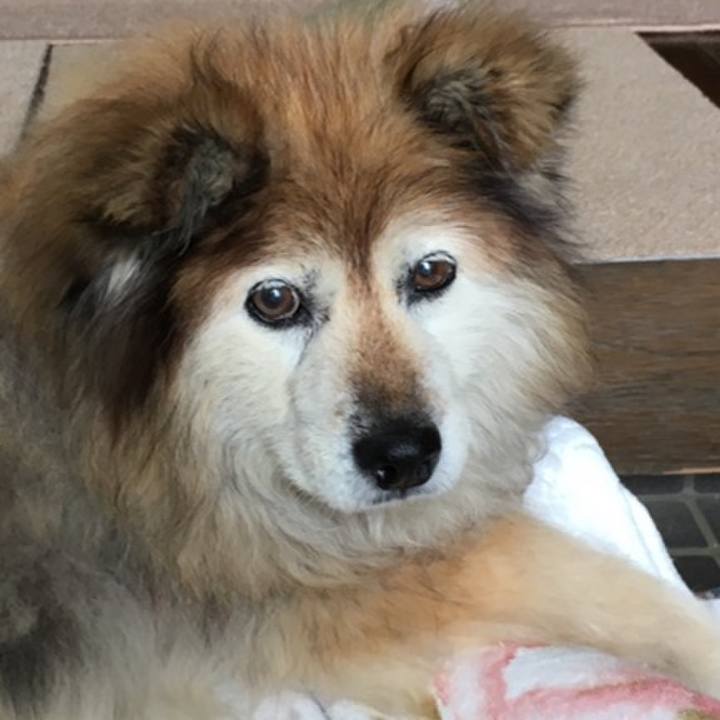 E3f27dbd d6ec 4770 9879 c5681ed0f137 1630816642072