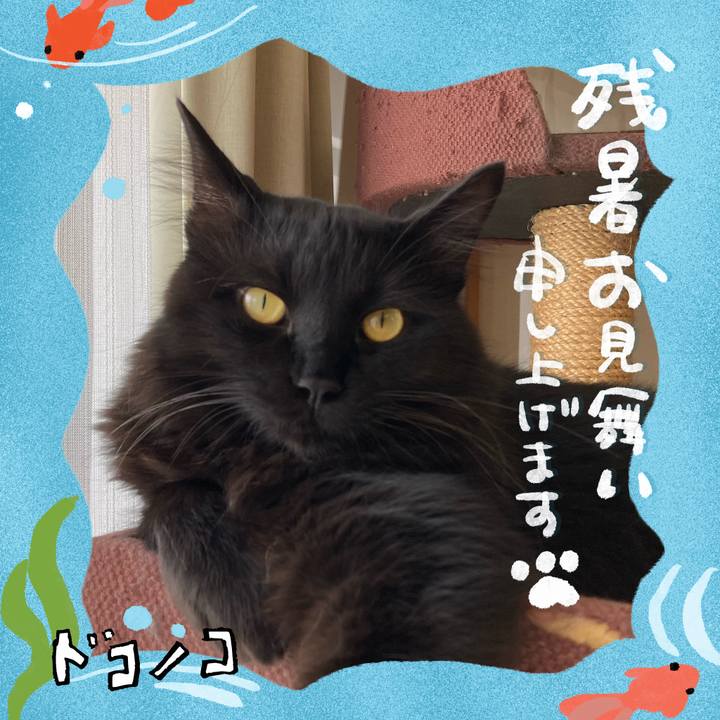 E3f28aba 89f3 494e 82ce 90aa1b45dc32 1723199340351