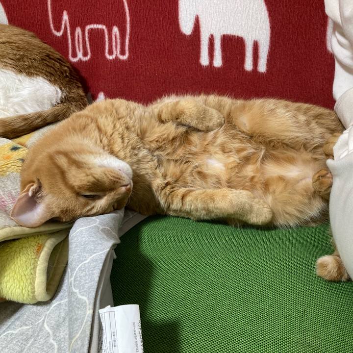 E3f2d573 fef0 42b8 9bd3 c0316ffef45d 1753800265134