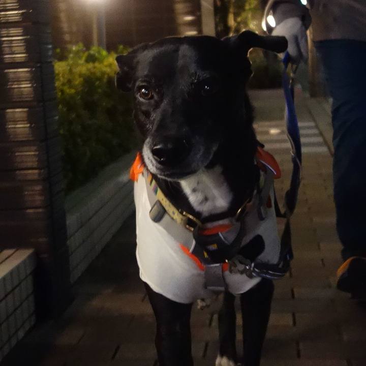 E3f2d60e 4b60 43f9 902c 213502a954f0 1734346622852