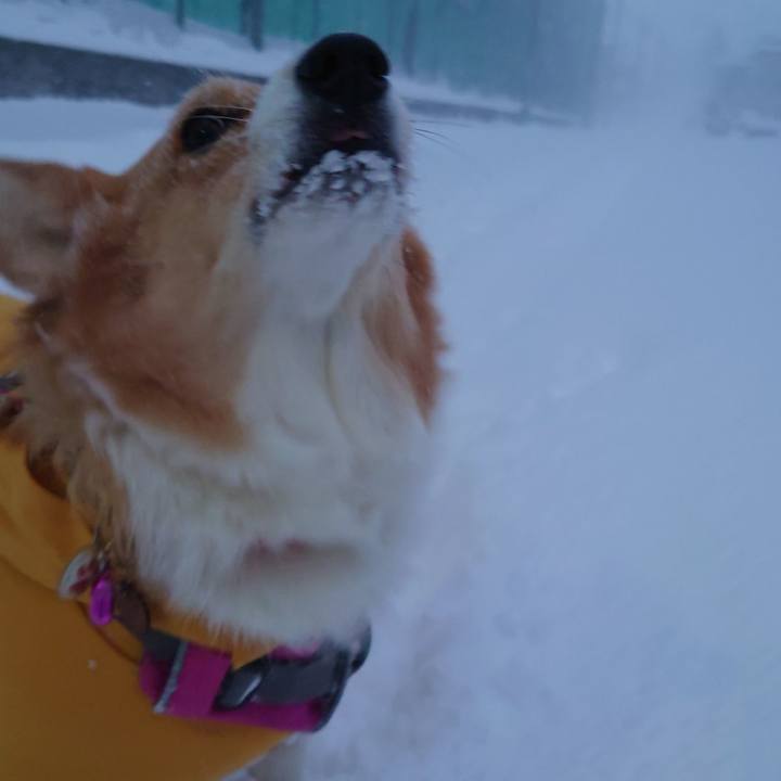 E3f2e155 ade2 4593 8fe8 e1766d11560f 1765495042715