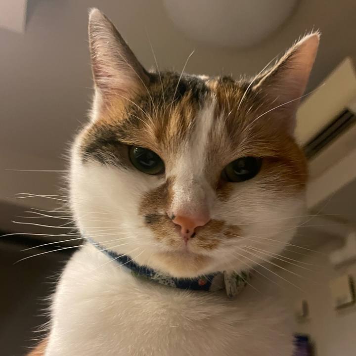 E3f2f199 5d1d 4498 917b 196bd8fe11ea 1703319363498