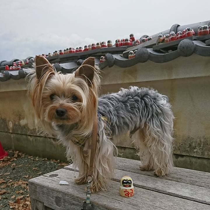 E3f2f61b 686d 438b b6e2 cfb7560f366f 1557818105214