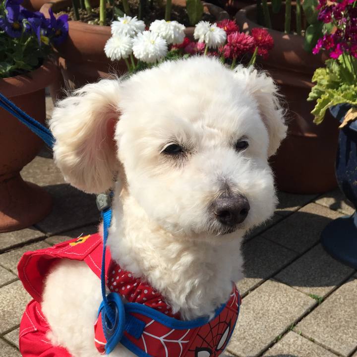 E3f33334 1aac 4844 983e 1214363dfe60 1522026204169