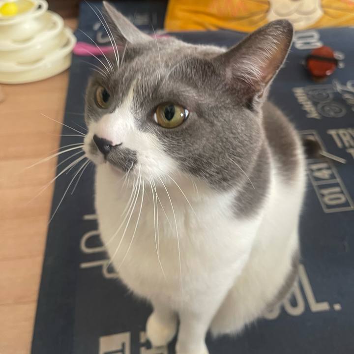 E3f346ef 9883 493d a33b c65133fbd4e5 1733621134678