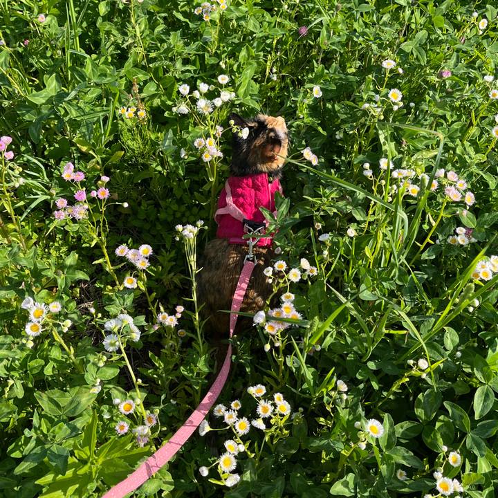 E3f34cc8 dee0 4258 97bf 55812be8f468 1684382698552