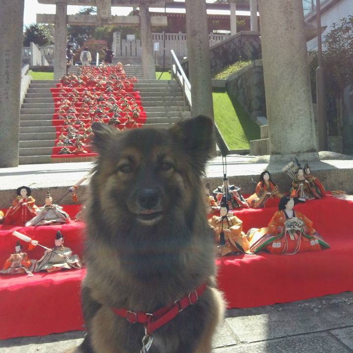 E3f3716d 371f 408d a033 5d6e8b184c1e 1772495996448