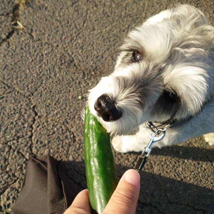 E3f377c1 3373 4986 b8ee 0eda863fcc06 1758842864802