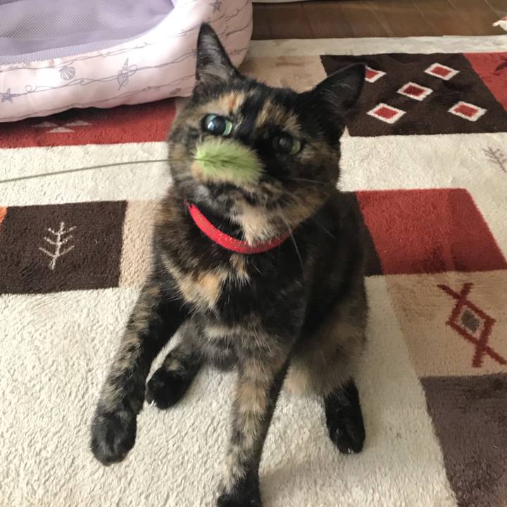 E3f38471 c82d 4097 b2f0 15fa10cdee30 1568074727049