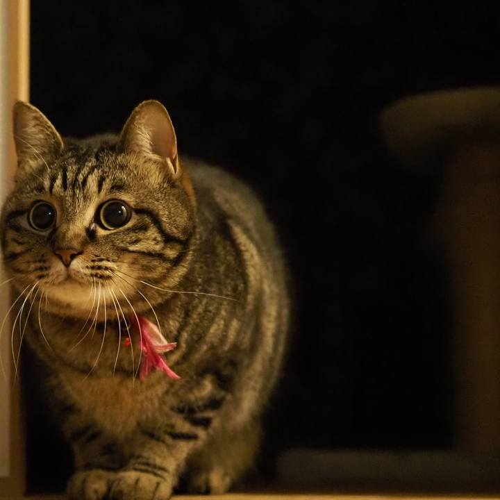 E3f39439 a8ea 4460 852e 2c659339dccd 1619184637632