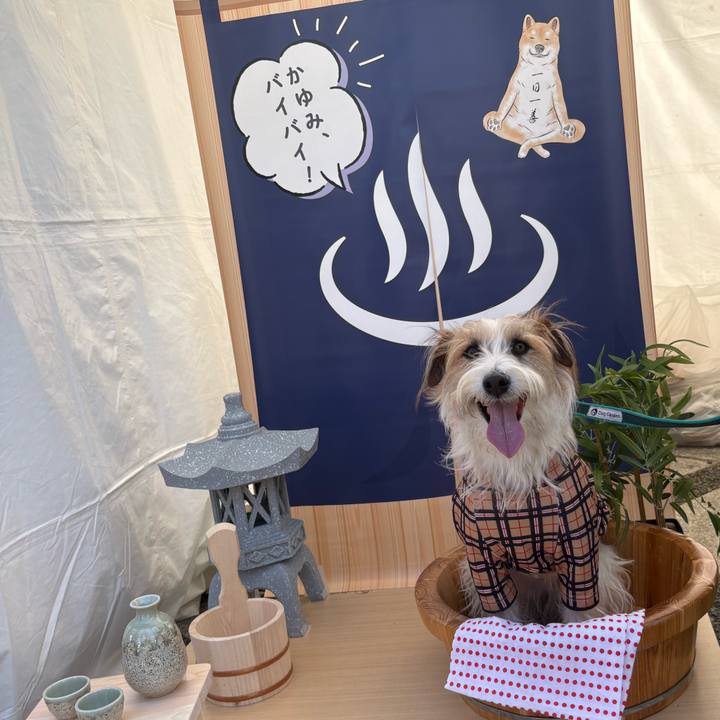 E3f3c0fc e55b 4842 81a4 3c6099d223ba 1774262971249