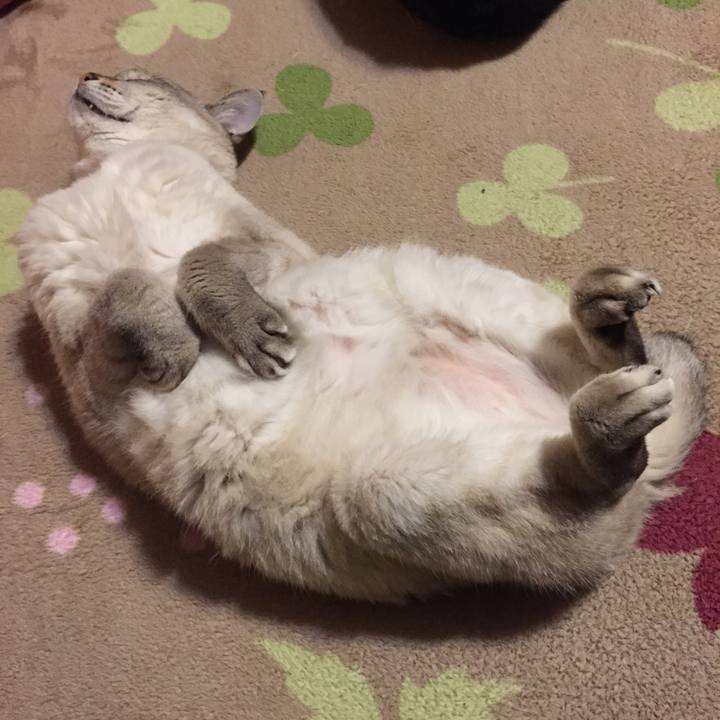 E3f3cd41 ee16 4781 8f6c 2ea02a3fab08 1546775419335