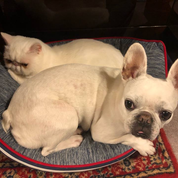 E3f3d7a1 e29d 45c3 9b2a 1e0dbdd35b41 1620453616005