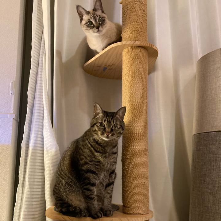 E3f402b5 8cb4 4a36 a86e 33612366a5d5 1637326468330