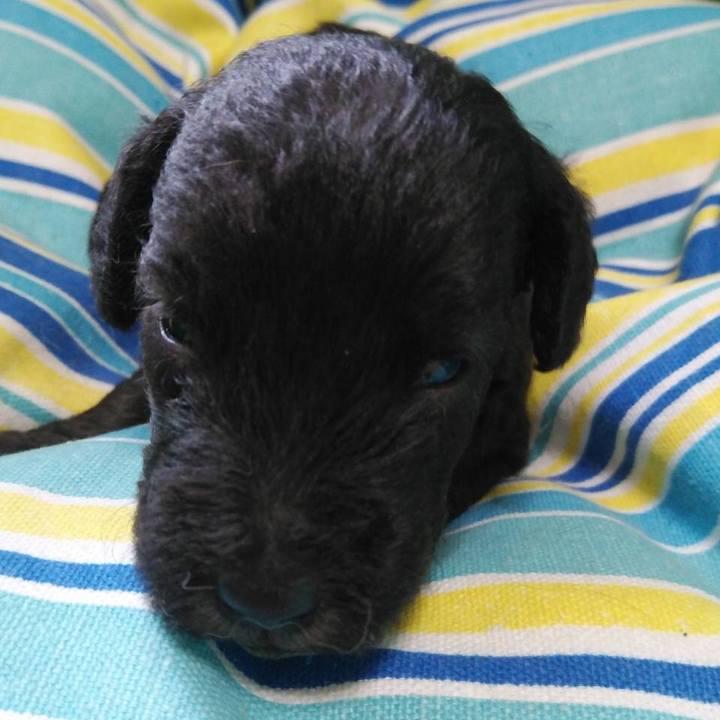 E3f42ac4 b503 467f 8452 145a63cfa6da 1636547160697