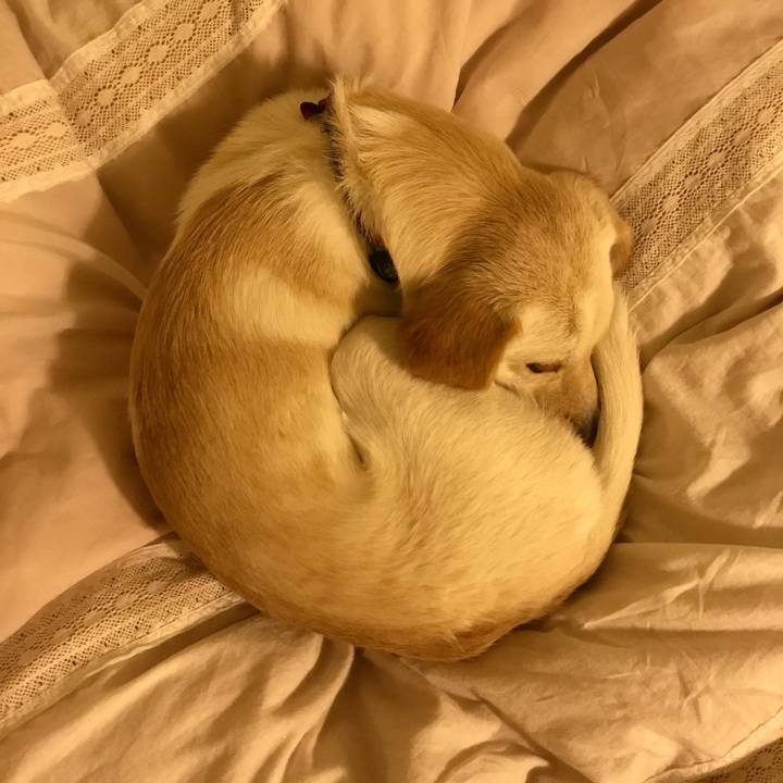 E3f43af4 225f 4015 b275 9f7c3f94776d 1550503568972