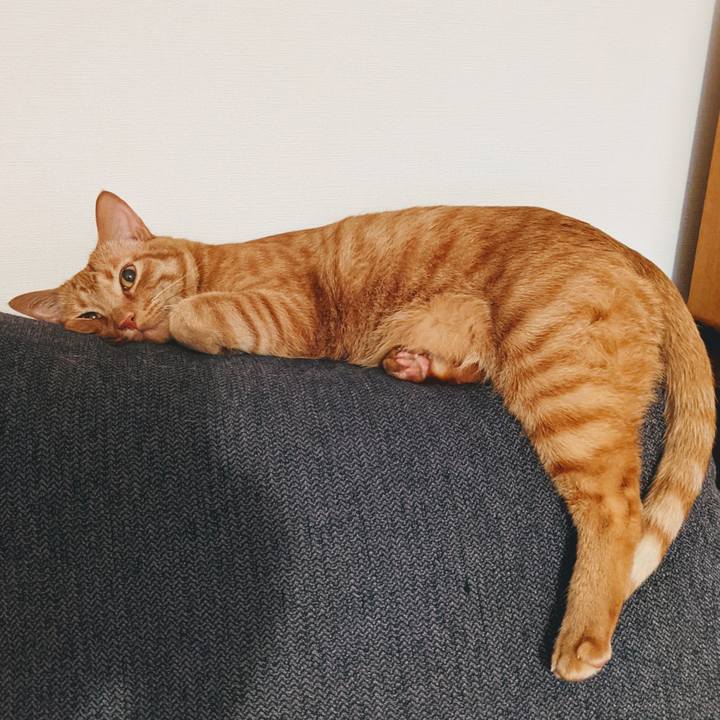 E3f43c93 9353 4d76 bdd3 50c6f6018552 1620221015124