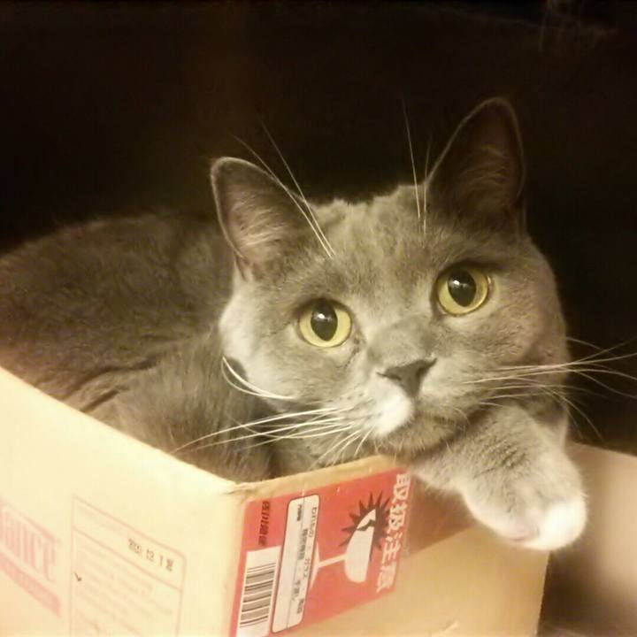 E3f4585c a770 456a 8d69 3787329096f1 1599053501860