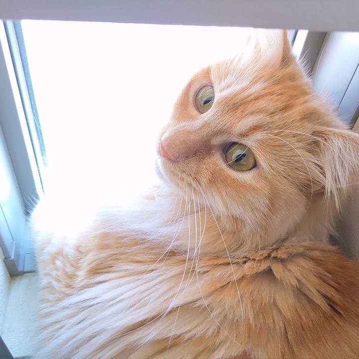 E3f4d21d 5eba 4b4c 9b03 a3c39928a992 1681875859116