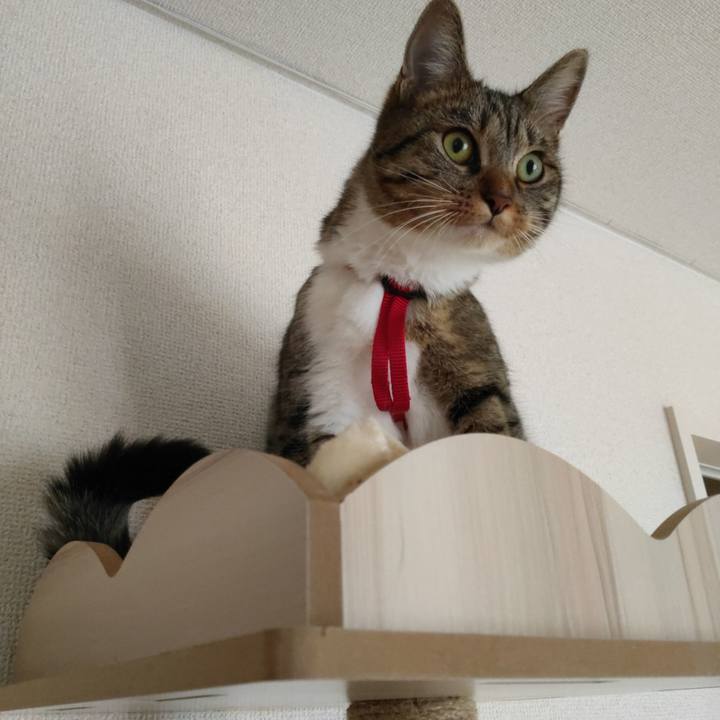 E3f517ce 49d7 4a1f afa3 ac7199961141 1658811600832