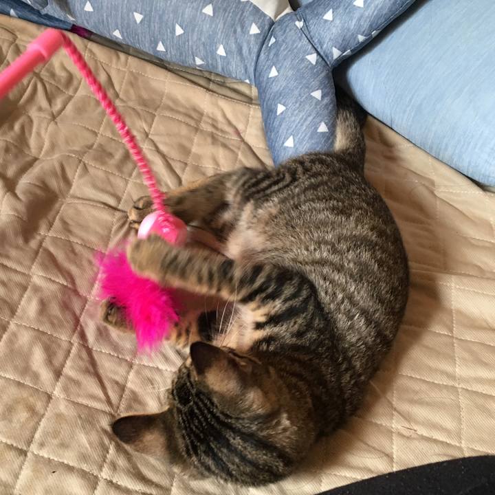 E3f556eb e6fd 4f0e 92e2 9c01b1f2002b 1536766309108