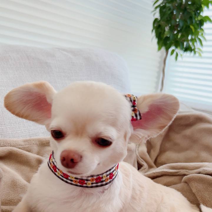 E3f56c24 65a7 4ef5 8092 113adfc0b0b3 1721526613370