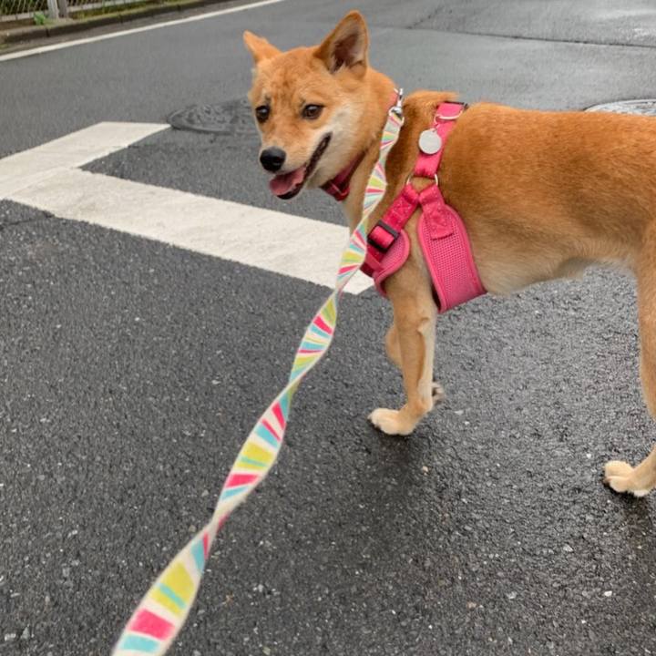 E3f5726e a724 4baf b1e6 825e7bc67df5 1563966455626