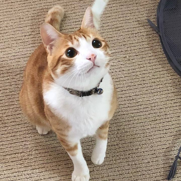 E3f5756a b13d 45b5 9062 666dd87edd25 1511735148535