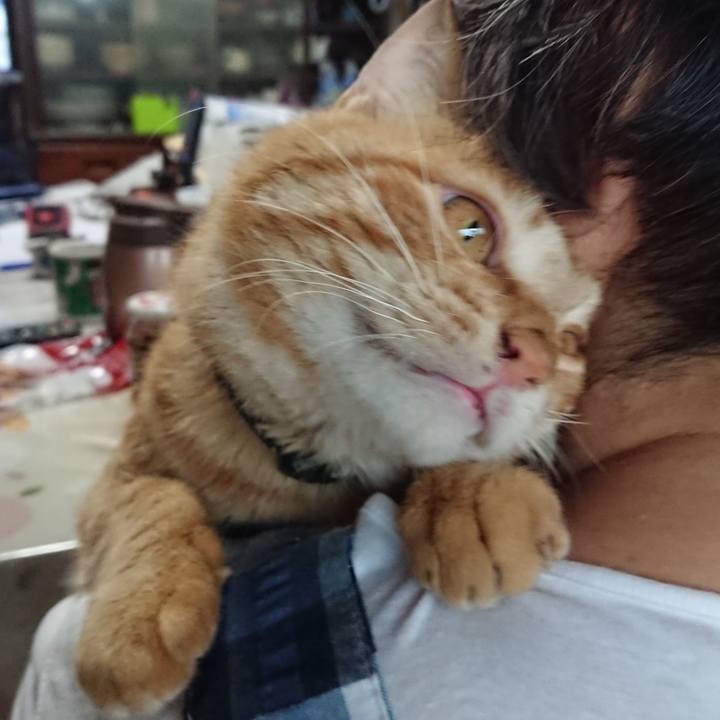 E3f5aa87 d970 40ba 96f4 279c83c34099 1657267602763