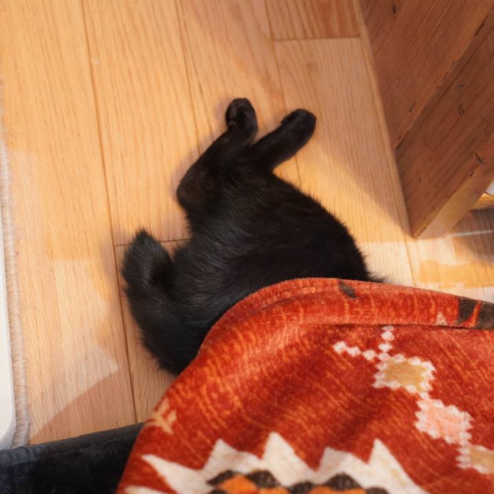 E3f5aaf8 9194 40ae 865c 1438d3dbb7f9 1577701656309