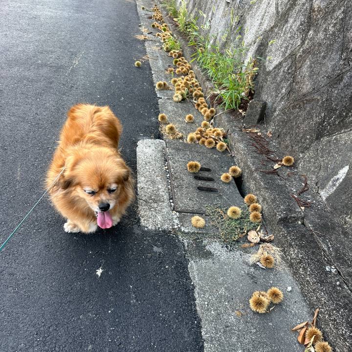 E3f5f788 aebf 4a45 8ea7 360cfd6f8909 1754175532346