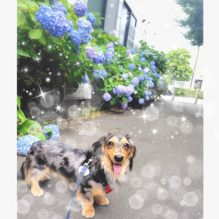 E3f60fde 881c 4367 8550 5ba98876f3c0 1749386217626