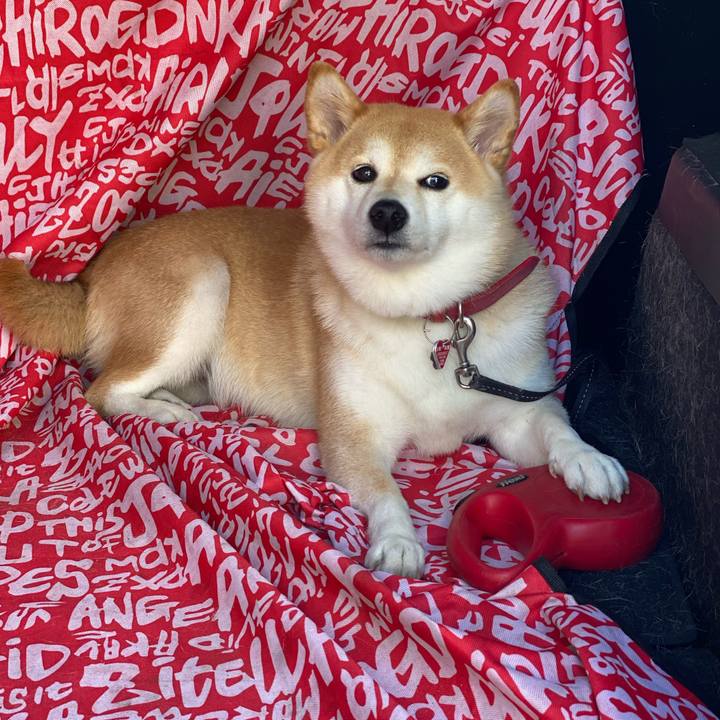 E3f62d63 dd82 4f72 bc41 7836feb9b651 1622761285272