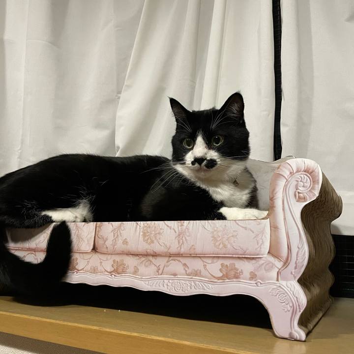 E3f67386 23c3 47c9 b48b ef2d6e3c59ed 1672327650538