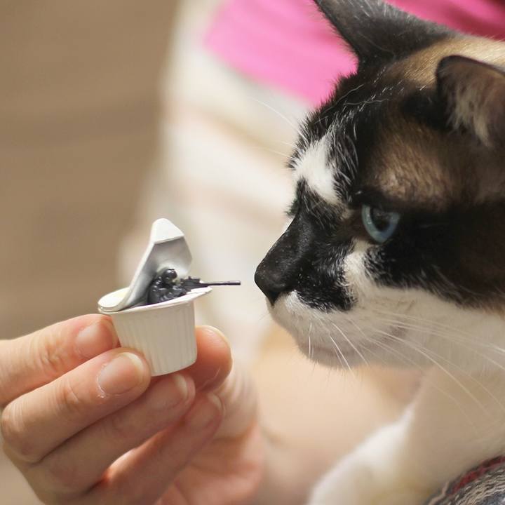 E3f6adc1 3434 4658 a961 634e4cdaa2b1 1528980224240