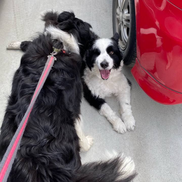 E3f6aecf 9731 464b 962b 25d83866e8a2 1590371211382