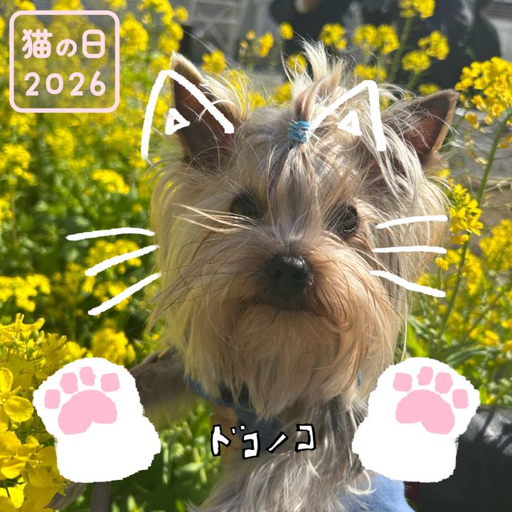 E3f6b5b6 e21c 433e 98cc bbbae173ba3b 1771721315544