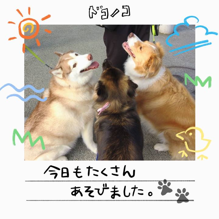 E3f6d1ee 7c47 4a73 9035 25ceace43cce 1755128172697