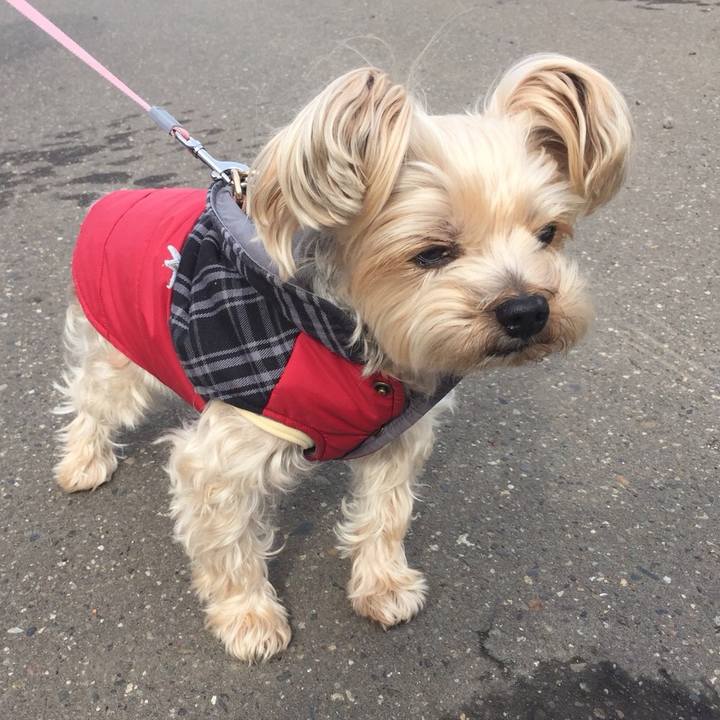 E3f7062b dfe6 4a4a 8163 c4a858494077 1522816532806