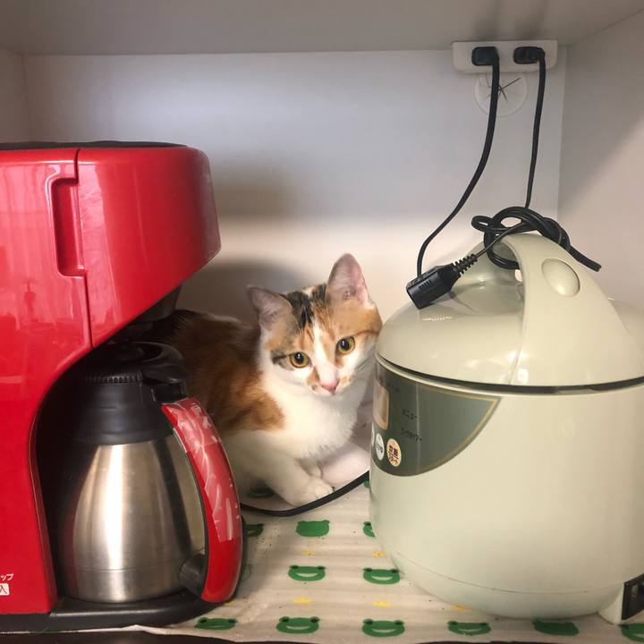 E3f7283f 40e6 4977 b884 2cea284fe172 1592571549667