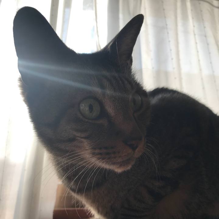 E3f72aff 4268 43a8 a44e 83550da3fe99 1518917465382