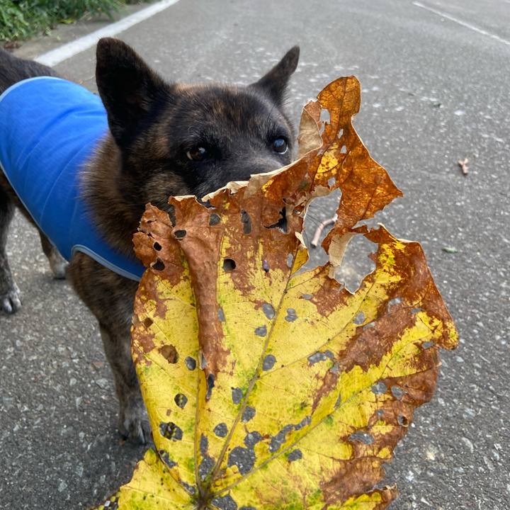 E3f7881a 4a22 480c 8ace cb21aa49dde0 1599471230577