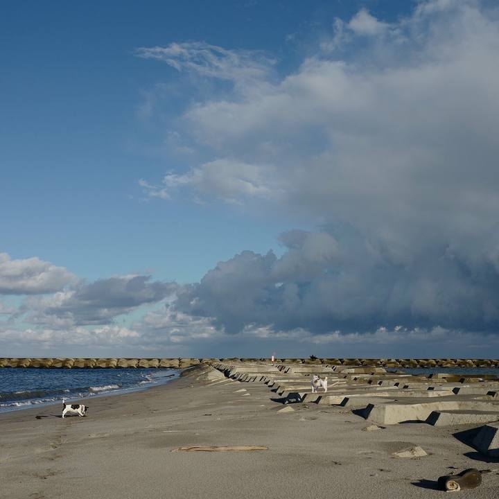 E3f79482 fbf6 4f53 8c07 f108970ab73d 1541131251276