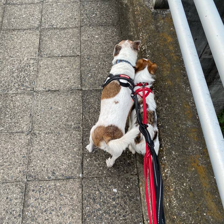 E3f7cd10 a00d 491e a680 c12780edeaca 1630100147523