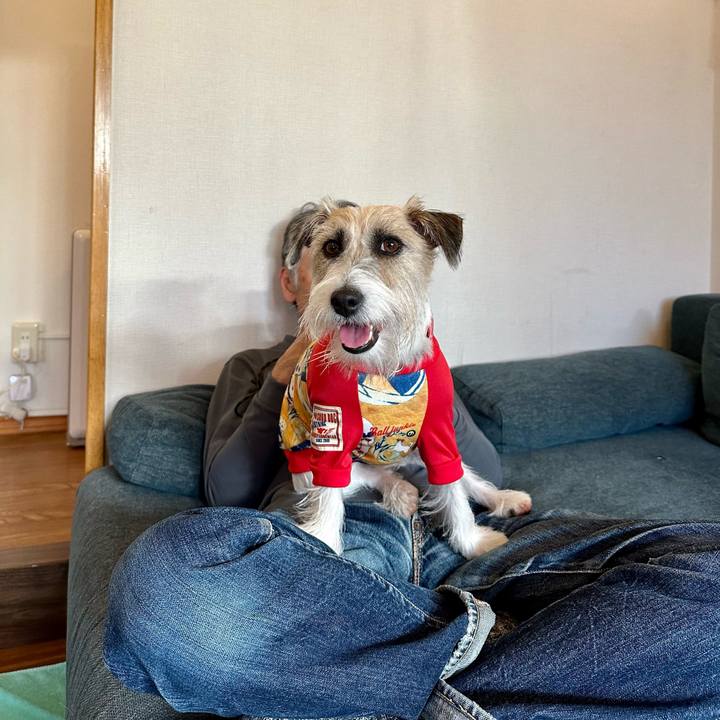 E3f7e712 24df 4f04 8c03 1906ace5ec61 1697467307932