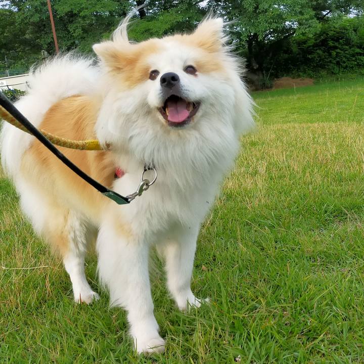 E3f7f1c8 6dce 4491 a0ee 327f52cb9c6c 1624804671038